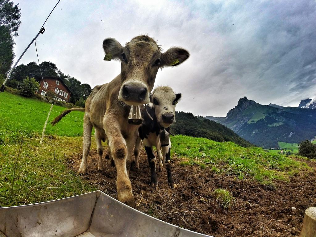 Hotel Engelberg "Mein Trail Hotel" Esterno foto